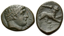 Sicily, Syracuse Bronze circa 295-289