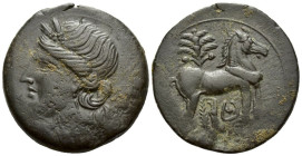 The Carthaginians in Sicily and North Africa, Carthage Trishekel circa 220-215