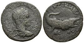 Mysia, Cyzicus Severus Alexander, 222-235 Bronze circa 222-235 - Apparently the second specimen known.