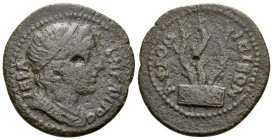 Caria, Aphrodisias Pseudo-autonomous issue , Bronze circa 209-211 - Ex Naville sale 25, 2016, 233.