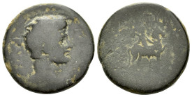 Lydia, Tripolis Gaius Caesar, died AD 4 Bronze circa 1 BC- 4 AD