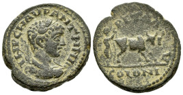 Arabia, Petra Elagabalus, 218-222 Bronze circa 218-222