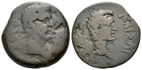 Egypt, Alexandria Augustus with Gaius as Caesar Diobol circa 20 BC