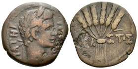 Egypt, Alexandria Octavian as Augustus, 27 BC – 14 AD Diobol circa 1-5 AD