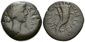 Egypt, Alexandria In the name of Livia, wife of Augustus Diobol circa 1-5 AD