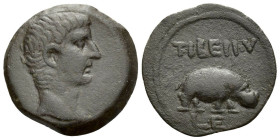 Egypt, Alexandria Tiberius, 14-37 Obol circa 18-19 (year 5)