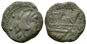 L. Trebanius. Quadrans circa 135