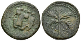 Palermo The Normans in South Italy and Sicily. William II, 1166-1189 Large Follaro circa 1166-1189 - Ex Naville Numismatics sale 59, 2020, 888.