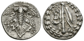 LYDIA. Tralleis. Cistaphoric Didrachm (Circa 166-67 BC).
Obv: Club draped with lion skin; all within wreath.
Rev: Grape bunch within leaves. advancing...