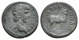 LESBOS. Mytilene. Antinous, circa 134. Hemiassarion, struck posthumously under Hadrian. ΗΡΩC ΑΝΤΙΝΟΟ - C Bare head of Antinous to right. Rev. ΜΥΤΙΛ-ΗΝ...