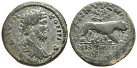 GALATIA, Ancyra. Commodus. AD 177-192. Æ. Laureate, draped, and cuirassed bust right, seen from behind / She-wolf standing right, suckling the twins R...
