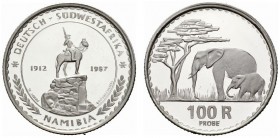  COINS & MEDALS FROM OVERSEAS   NAMIBIA   Republic. 100 Rand 1987. Struck in platinum. Fr. ­; K./M. Bruce E1. PATTERN. PLATINUM. Extremely rare. Only ...