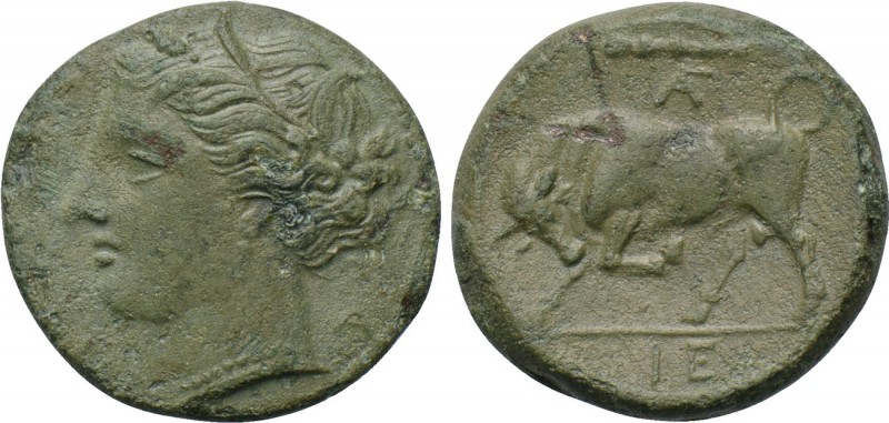 SICILY. Syracuse. Hieron II (275-215 BC). Ae. 

Obv: ΣΥΡΑΚΟΣΙΟΝ. 
Head of Per...