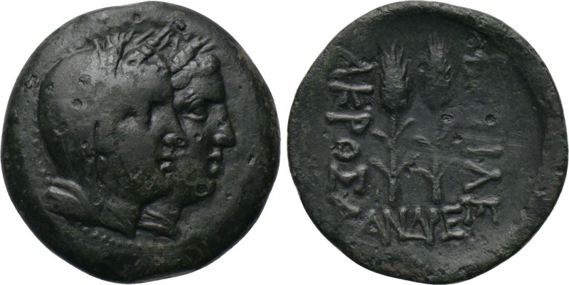 KINGS OF SKYTHIA. Akrosandros (3rd-2nd centuries BC). Ae. 

Obv: Jugated drape...