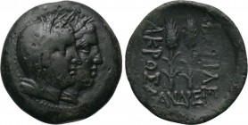 KINGS OF SKYTHIA. Akrosandros (3rd-2nd centuries BC). Ae.