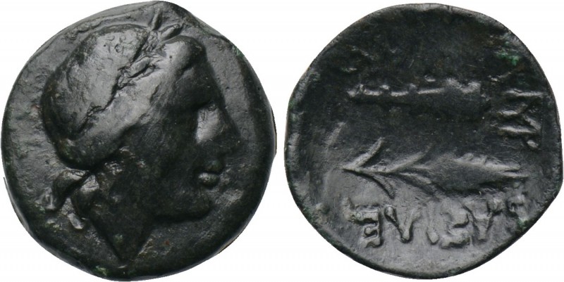 KINGS OF SKYTHIA. Sariakos (Circa 179-150 BC). Ae. 

Obv: Laureate head right....