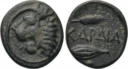 THRACE. Kardia. Ae (Circa 350-309 BC).