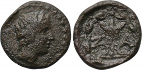 ELIS. Zakynthos. Ae (2nd-1st centuries BC).