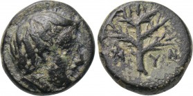 ASIA MINOR. Uncertain. Ae (Circa 4th century BC).