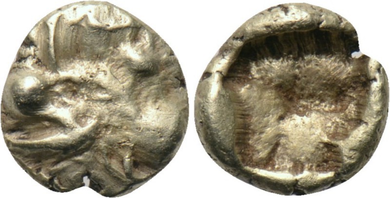 MYSIA. Kyzikos. EL 1/48 Stater (Circa 600-550 BC). 

Obv: Head of tunny left....