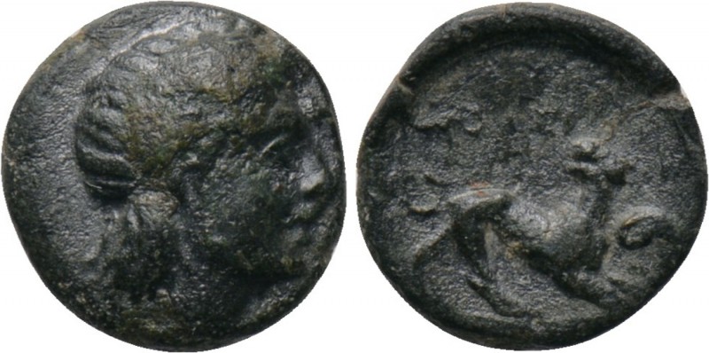LESBOS. Nesos. Ae (4th century BC). 

Obv: Laureate head of Apollo right.
Rev...
