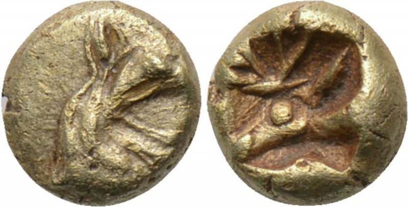 IONIA. Uncertain. EL 1/24 Stater (Circa 6th century BC). 

Obv: Head of griffi...