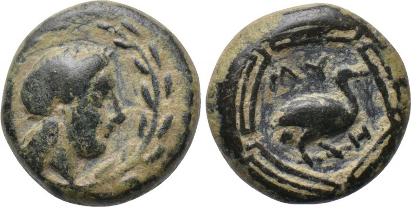 IONIA. Myous. Ae (Circa 400-380 BC). 

Obv: Laureate head of Apollo right with...