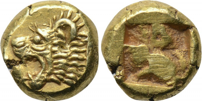 IONIA. Phokaia. EL 1/24 Stater (Circa 625/0-522 BC). 

Obv: Roaring head of li...