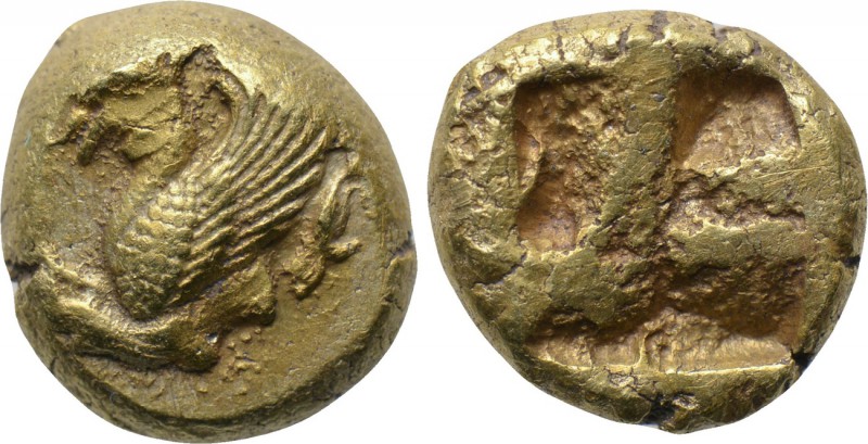 IONIA. Phokaia. EL Hekte (Circa 521-478 BC). 

Obv: Forepart of griffin left, ...