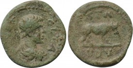 EPIRUS. Buthrotum(?) Geta (Caesar, 198-209). Ae.