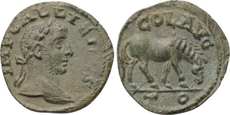 TROAS. Alexandria. Gallienus (253-268). As. 

Obv: IMP GALLIENVS. 
Laureate h...