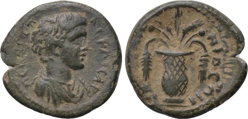 LYDIA. Apollonis. Geta (Caesar, 198-209). Ae. 

Obv: Π CЄΠ ΓЄTAC KAICAP. 
Bar...