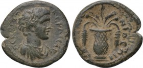 LYDIA. Apollonis. Geta (Caesar, 198-209). Ae.