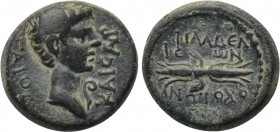 LYDIA. Philadelphia. Caligula (37-41). Ae. Antiochos Apollodotou, philokaisar.