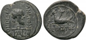 CARIA. Trapezopolis. Augustus (27 BC-14 AD). Ae. Andronikos Gorgippou, magistrate.