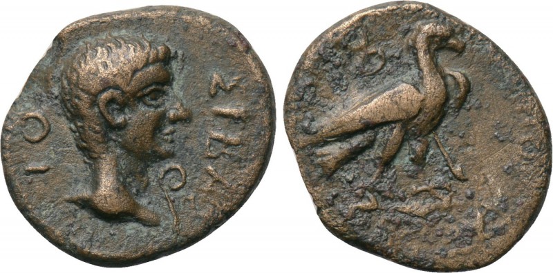 PHRYGIA. Amorium. Augustus (27 BC-14 AD). Ae. Uncertain magistrate. 

Obv: ΣΕΒ...