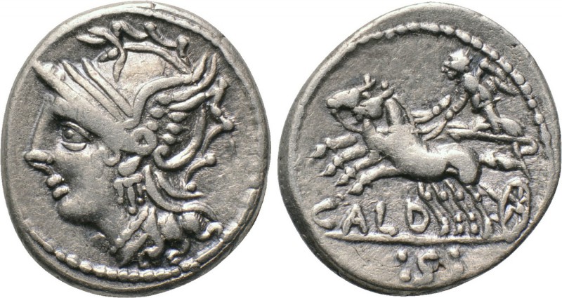C. COILIUS CALDUS. Denarius (104 BC). Rome. 

Obv: Helmeted head of Roma left....
