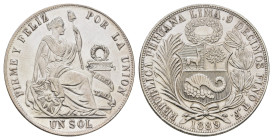 Sol, 1889, Lima, TF, KM 196.24, wz. Kr., wz. Rf., gereinigt, vz.