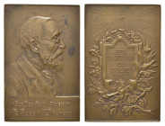 Württemberg, Stuttgart, Bronzeplakette (ca. 60 x 40mm, ca. 51,7g), 1902, von Mayer & Wilhelm in Stuttgart, auf den Tod des Mediziners Rudolf Virchow. ...