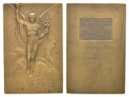 Württemberg, Stuttgart, Bronzeplakette (ca. 60 x 40mm, ca. 51,4g), 1908, von Mayer & Wilhelm in Stuttgart, auf das neue Jahr. Av.: In Wolken schwebend...
