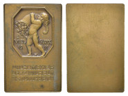 Württemberg, Stuttgart, einseitige Bronzeplakette (ca. 52,5 x 34,7mm, ca. 37,4g), 1911, von Mayer & Wilhelm in Stuttgart, auf das neue Jahr. Av.: Nack...
