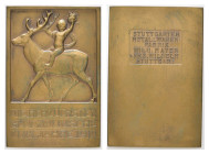 Württemberg, Stuttgart, Bronzeplakette (ca. 60 x 40mm, ca. 51,2g), 1912, von Mayer & Wilhelm in Stuttgart, auf das neue Jahr. Av.: Junge auf Hirsch re...