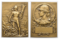 Frankreich, Bronzeplakette (110,9g, 68,9 x 52,1mm), 1917, von G. Prud'homme, auf die Schlacht von Verdun. Av.: Nackter Soldat nach rechts blickend mit...