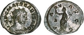 CARUS (282-283)
Antoninien : La Paix debout à gauche, tenant une branche d'olivier & un sceptre
 B - SUP 58 (SUP)
Assez Rare !


SM 12173, CO 48...