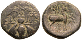 Ionia, Ephesos, Æ19