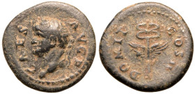 Domitian (Caesar) Æ Quadrans