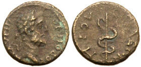 Bithynia, Prusa ad Olympum, Commodus Æ16