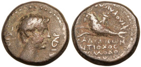 Lydia, Philadelphia, Caligula Æ17