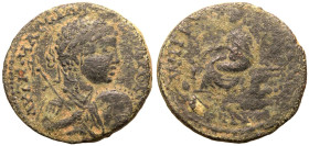 Mesopotamia, Edessa, Severus Alexander Æ25