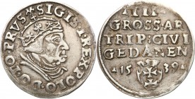 Sigismund I the Old. Trojak (3 grosze) 1539 Gdansk / Danzig 
Odmiana końcówką PRVS.Patyna, resztki połysku.Iger G.39.1.e (R1)
Waga/Weight: 2,62 g Ag...